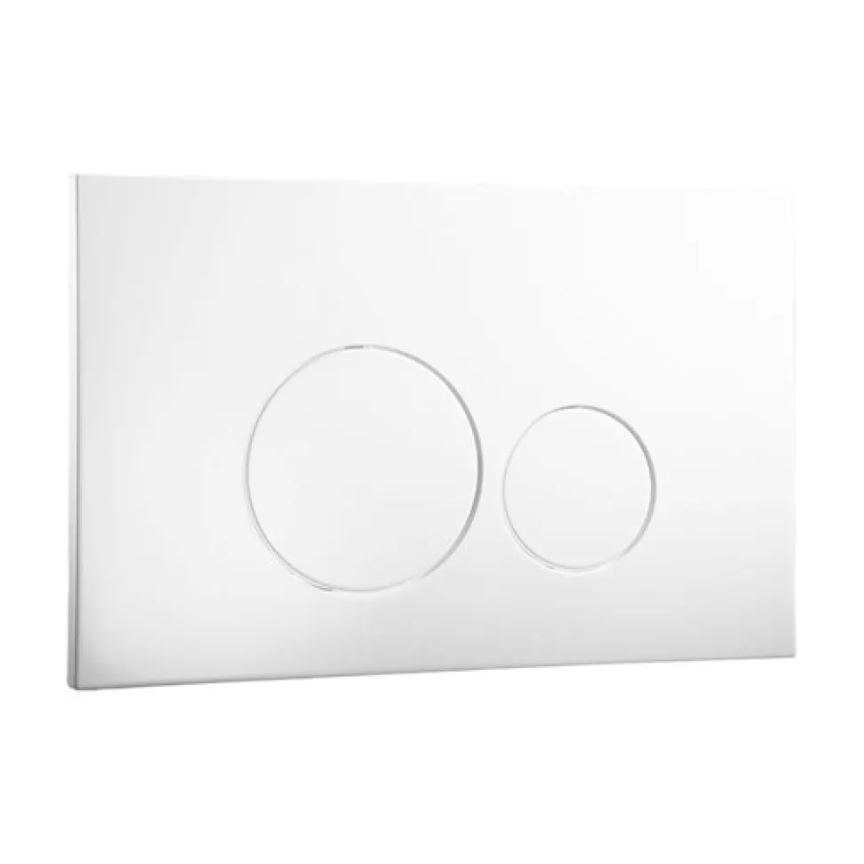 Abacus ISO Flush Plate