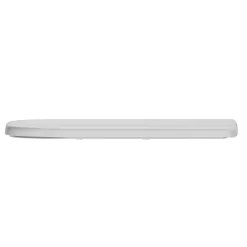Anderson Rimless Back to Wall Toilet & Soft Close Seat