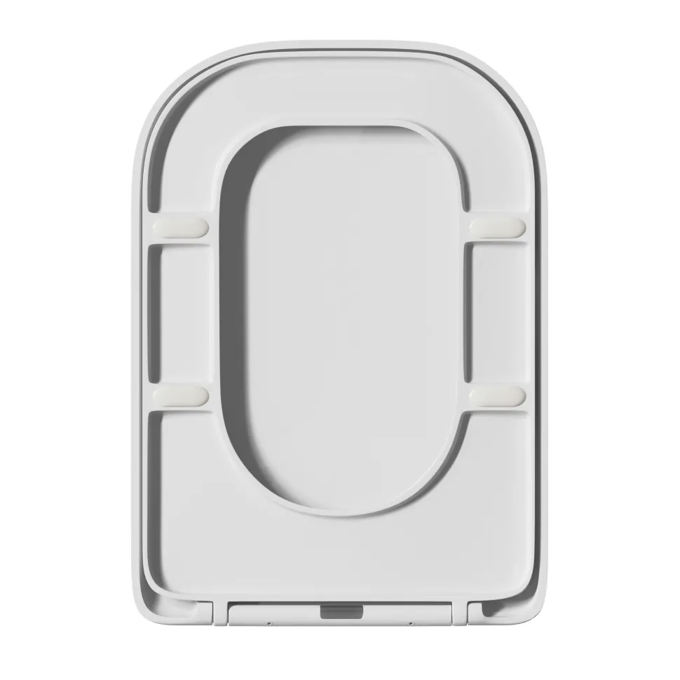Anderson Rimless Back to Wall Toilet & Soft Close Seat