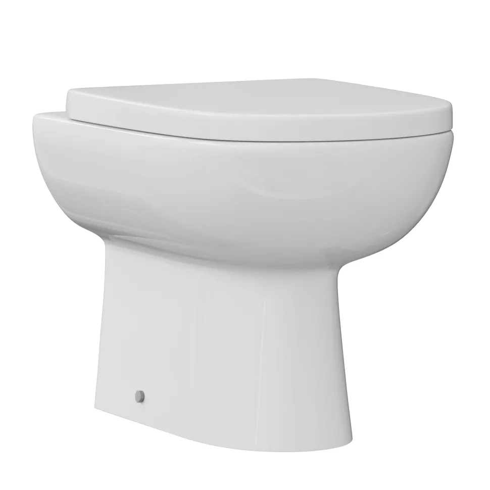 Anderson Rimless Back to Wall Toilet & Soft Close Seat