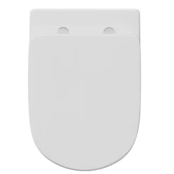 Anderson Rimless Back to Wall Toilet & Soft Close Seat
