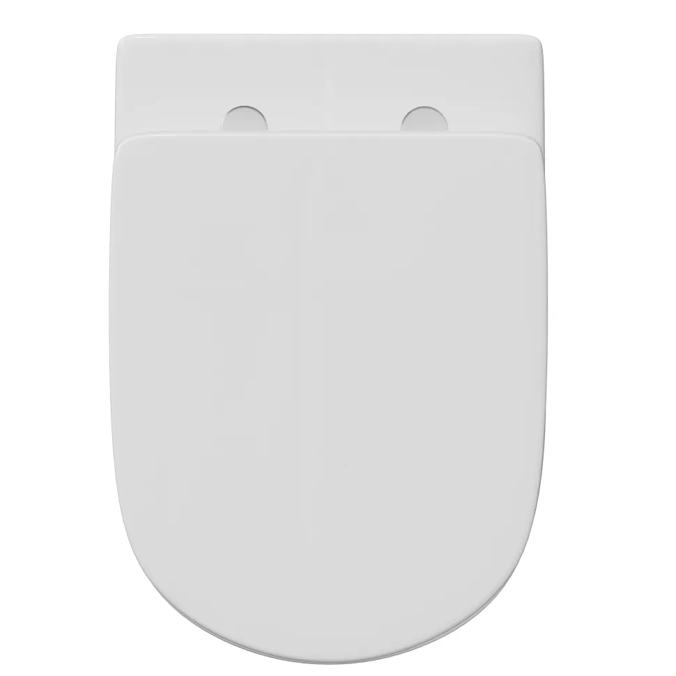 Anderson Rimless Back to Wall Toilet & Soft Close Seat