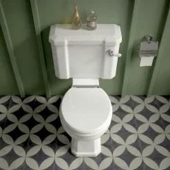 Butler & Rose Catherine Traditional Close Coupled Toilet (Excluding Seat)