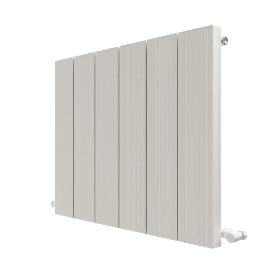 Carisa Elvino Horizontal Aluminium Radiator
