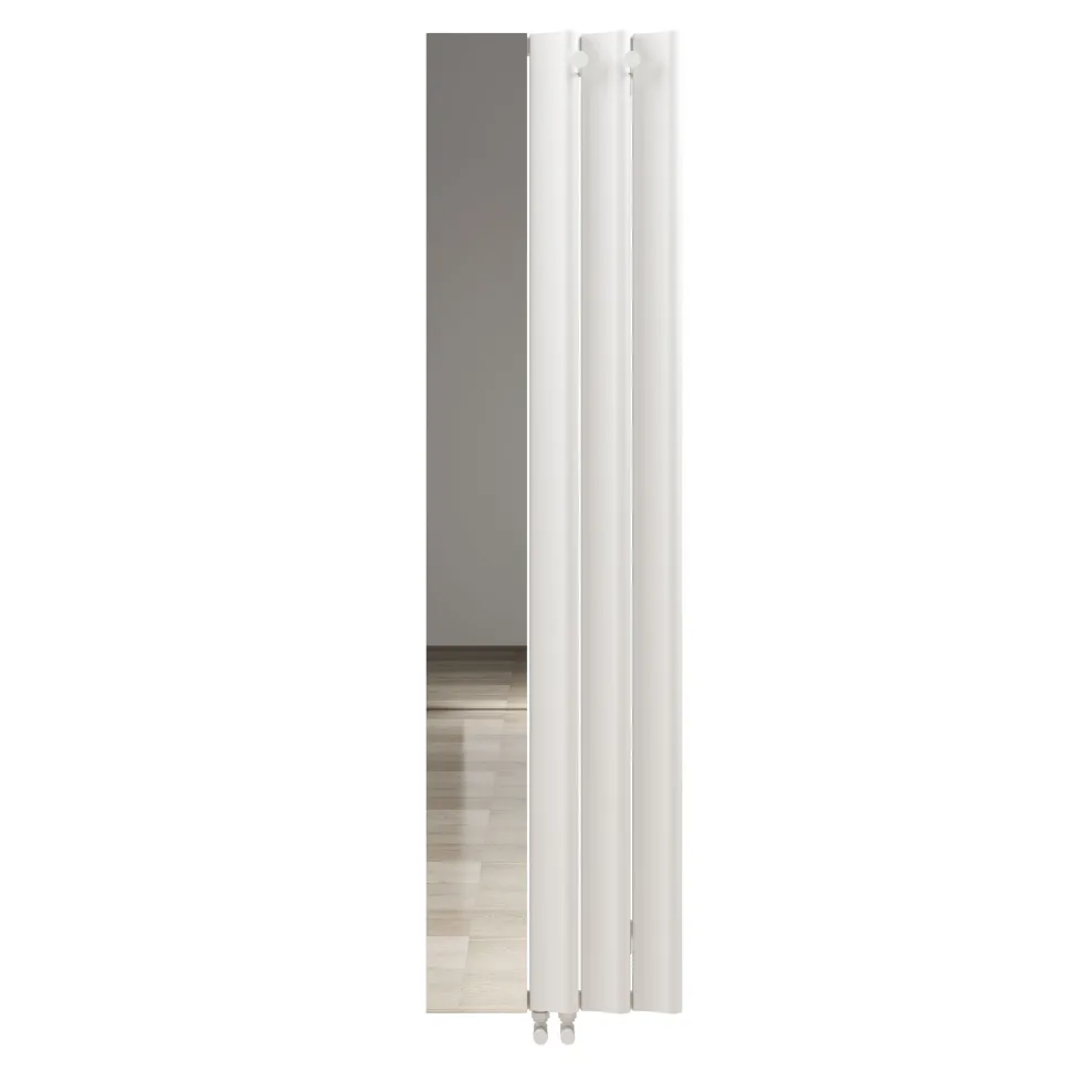 Carisa Entrée Mirrored Vertical Aluminium Designer Radiator