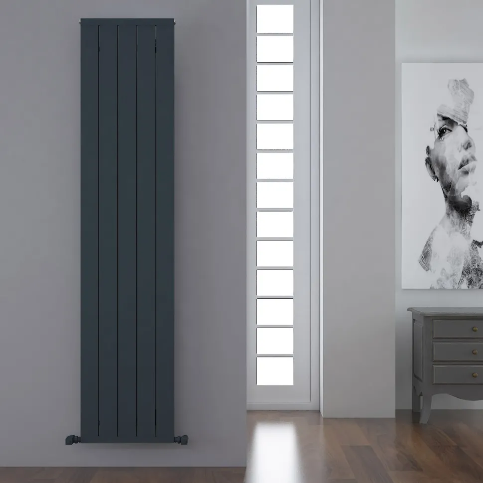 Carisa Mack Vertical Aluminium Radiator