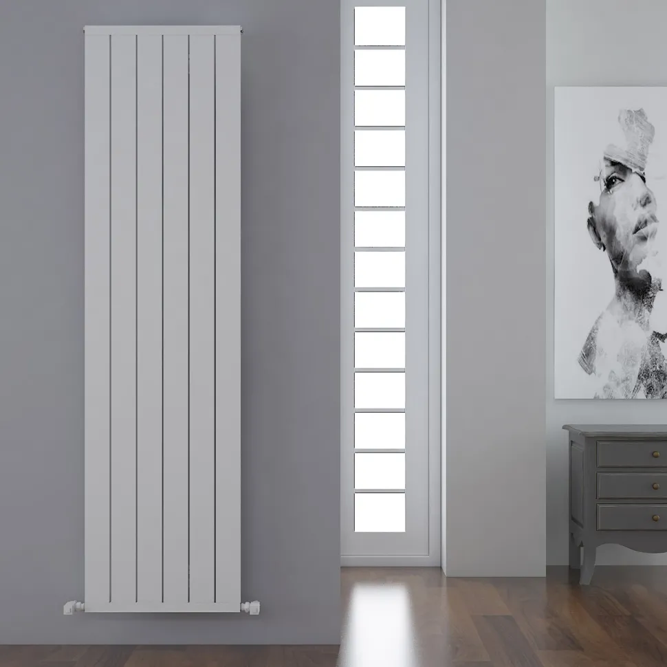 Carisa Mack Vertical Aluminium Radiator