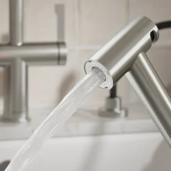 Clearwater Modern Pull Out Rinse