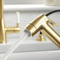Clearwater Traditional Pull Out Rinse