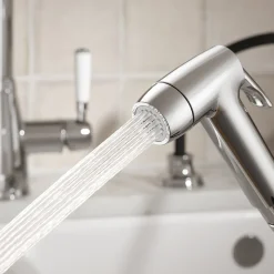 Clearwater Traditional Pull Out Rinse