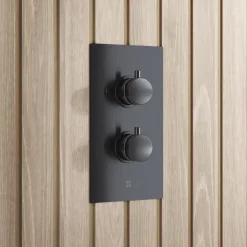 Core 2 Outlet Thermostatic Concealed Shower Valve