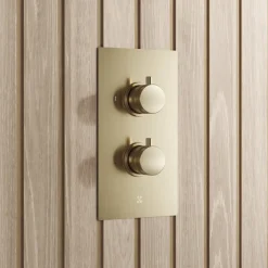 Core 1 Outlet Thermostatic Concealed Shower Valve