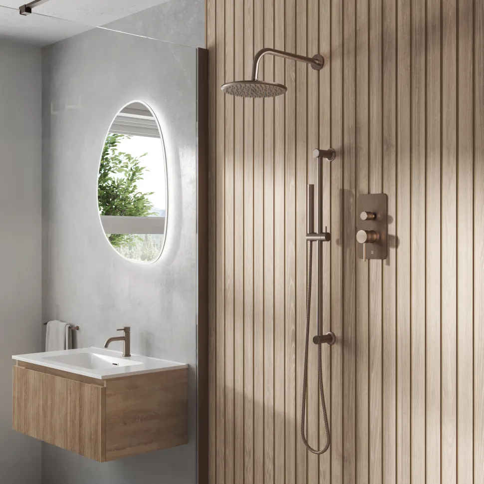 Core Shower Package with 2 Outlet Manual Valve, Fixed Wall Mounted Shower Head & Microphone Handset Slide Rail Kit