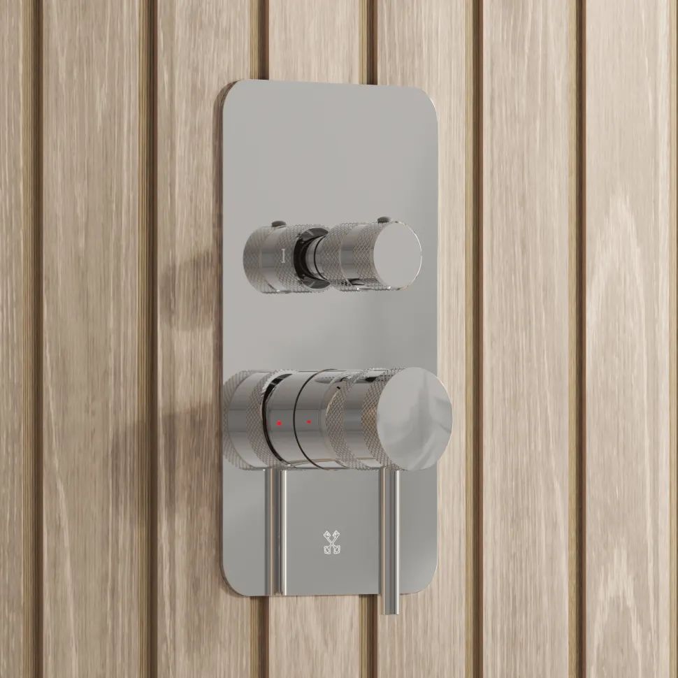 Core Shower Package with 2 Outlet Manual Valve, Fixed Wall Mounted Shower Head & Microphone Handset Slide Rail Kit