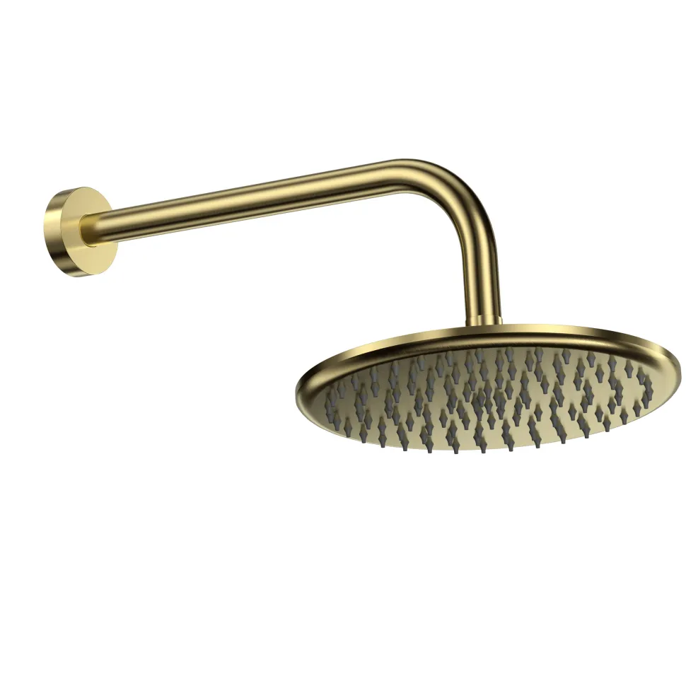 Core Shower Package with 2 Outlet Manual Valve, Fixed Wall Mounted Shower Head & Microphone Handset Slide Rail Kit