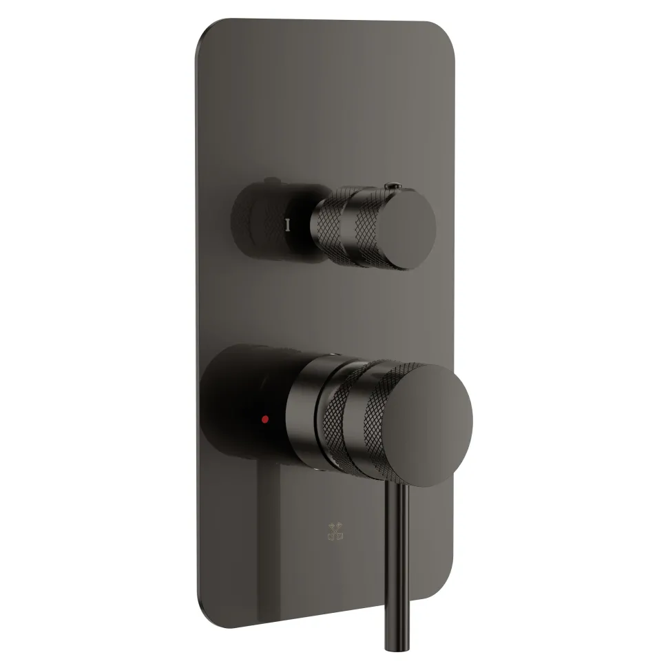 Core Shower Package with 2 Outlet Manual Valve, Fixed Wall Mounted Shower Head & Microphone Handset Slide Rail Kit