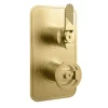 Crosswater Union 1 Outlet Concealed Thermostatic Shower Valve with Lever & Wheel - Brushed Brass