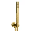Crosswater Union Shower Handset with Wall Outlet and Hose - Brushed Brass