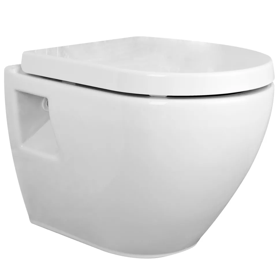 Dominica Wall Hung Toilet & Soft Close Seat