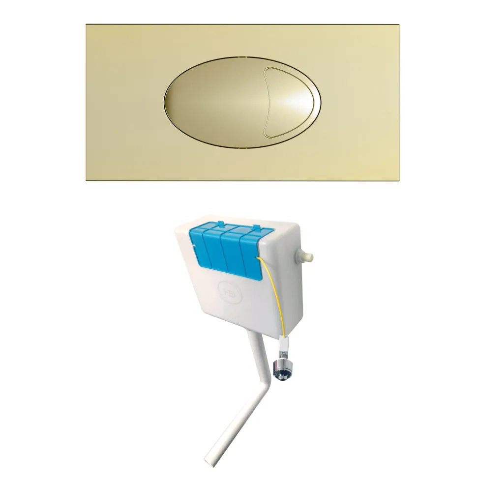 Drench Dual Flush Concealed Cistern with Dual Flush Plate