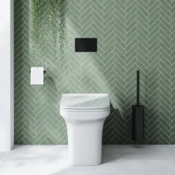 Emily Rimless Back To Wall Toilet & Soft Close Seat