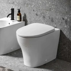 Geberit Selnova Rimless Back to Wall Pan & Soft Close Seat