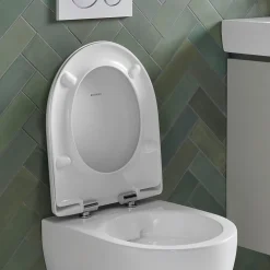 Geberit Selnova Rimless Compact Wall Hung Toilet & Soft Close Seat