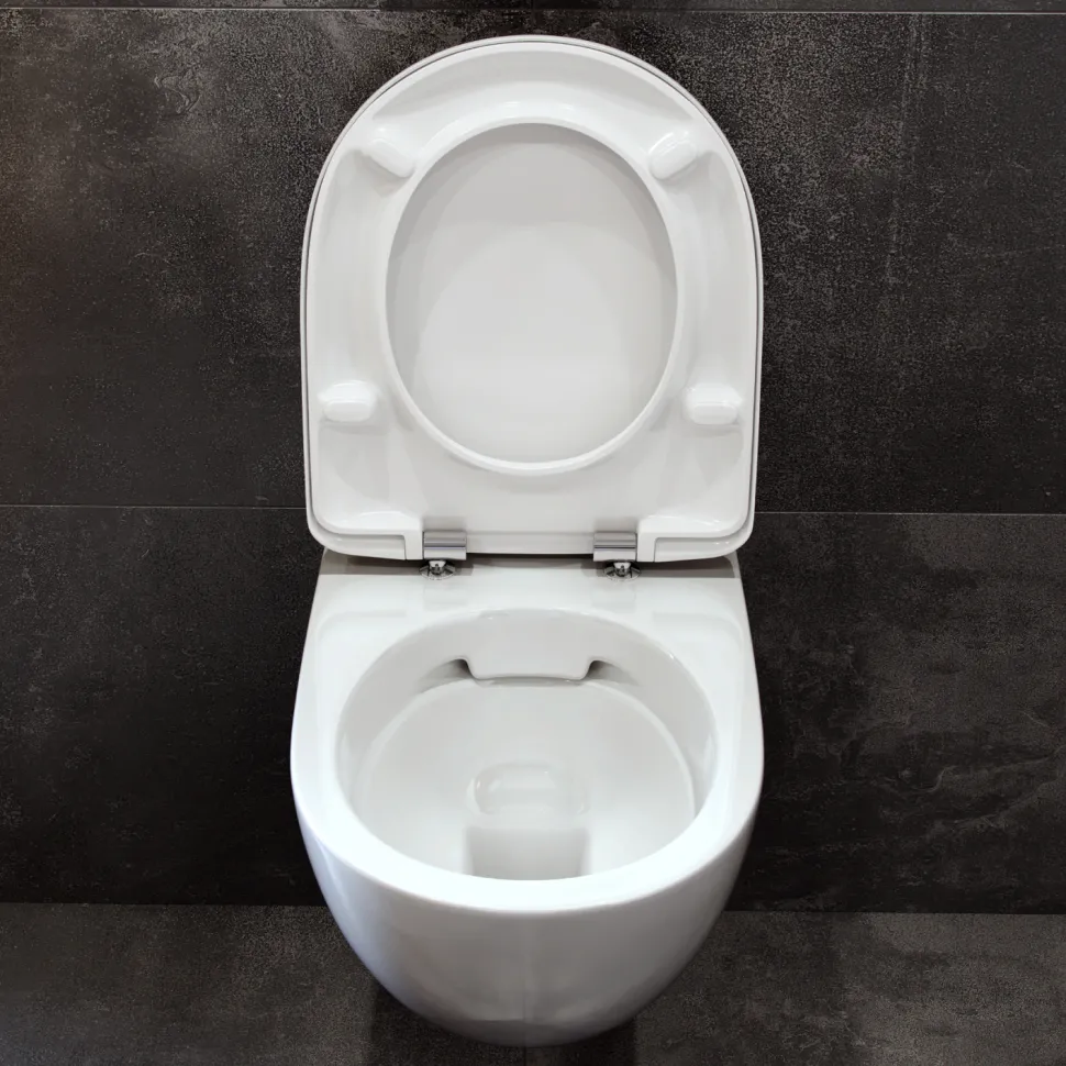 Geberit Selnova Rimless Wall Hung Pan & Soft Close Seat