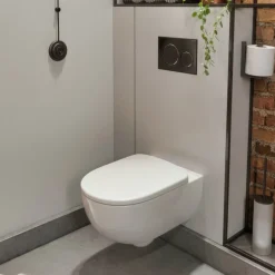 Geberit Selnova Rimless Wall Hung Pan & Soft Close Seat
