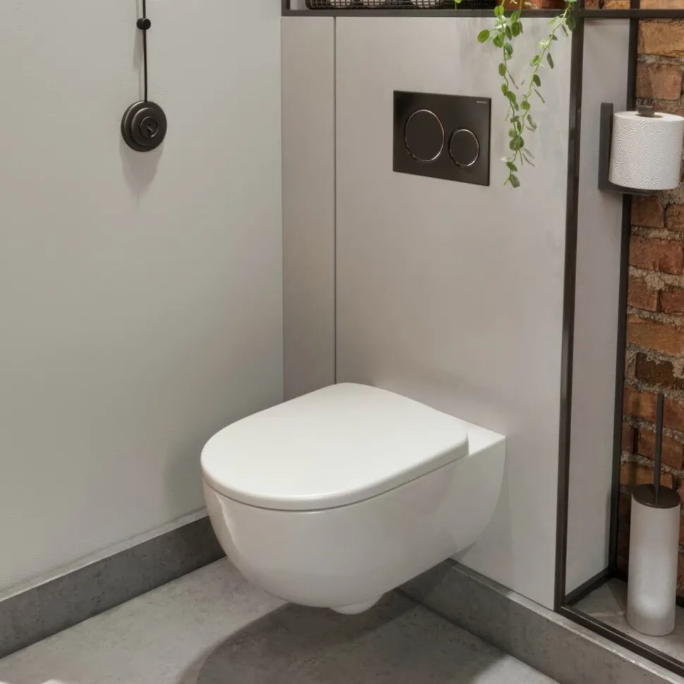 Geberit Selnova Rimless Wall Hung Pan & Soft Close Seat