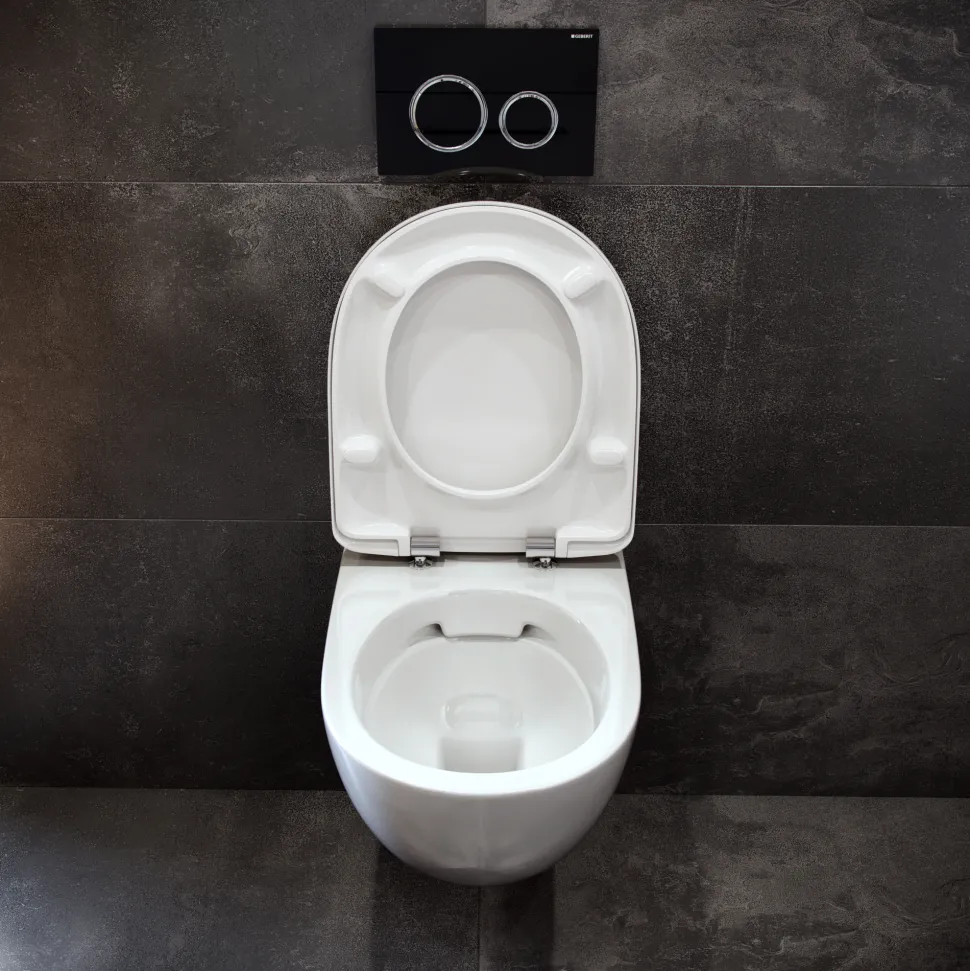 Geberit Selnova Rimless Wall Hung Pan & Soft Close Seat