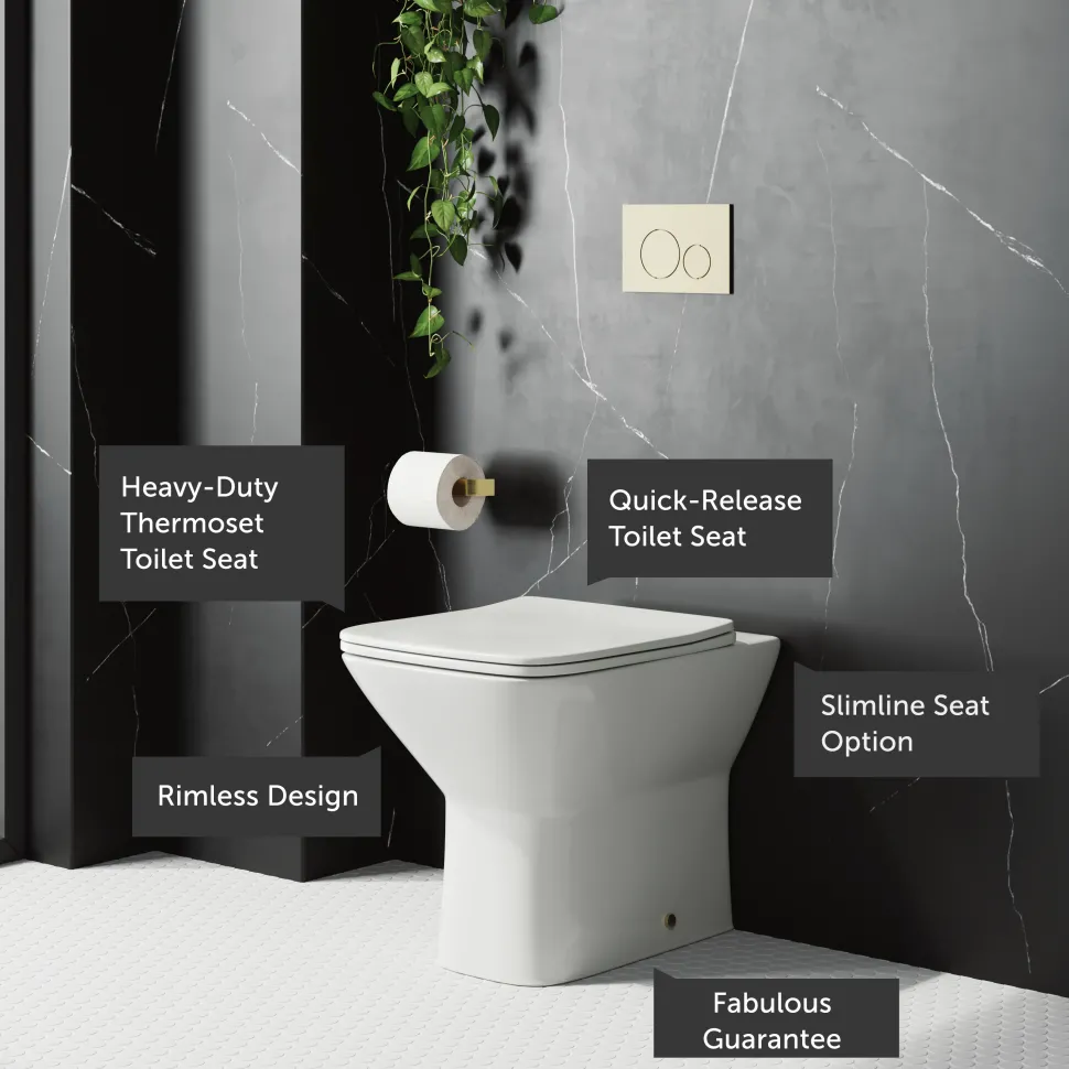 Harbour Alchemy Rimless Back to Wall Toilet & Soft Close Seat