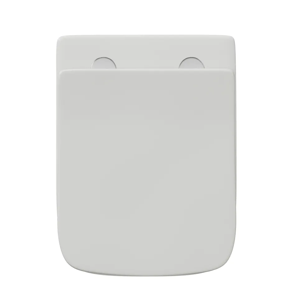 Harbour Alchemy Rimless Back to Wall Toilet & Soft Close Seat