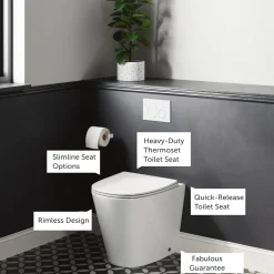 Harbour Clarity Back to Wall Rimless Toilet & Soft Close Seat