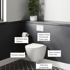 Harbour Clarity Rimless Wall Hung Toilet & Soft Close Seat