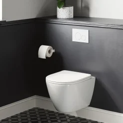 Harbour Clarity Rimless Wall Hung Toilet & Soft Close Seat