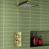 Harbour Status Brushed Brass Concealed Shower Valve, Fixed Shower Arm & Head