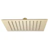 Harbour Status Brushed Brass Ultra Slim Square Shower Head - 250mm