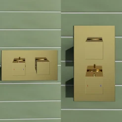 Harbour Status Brushed Brass 2 Outlet Thermostatic Concealed Shower Valve