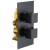 Harbour Status Matt Black 1 Outlet Concealed Thermostatic Shower Valve