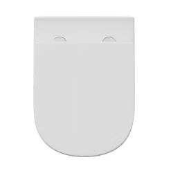 Lorraine Rimless Back To Wall Toilet & Soft Close Seat