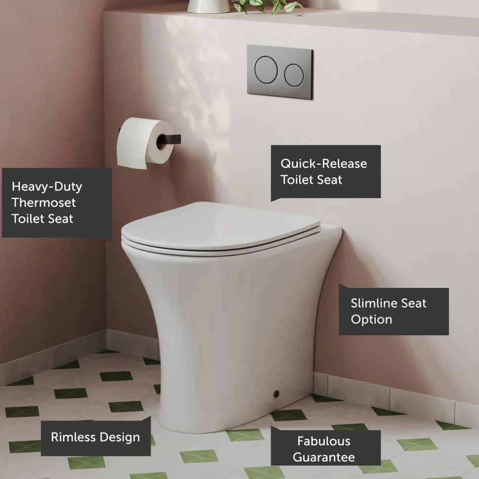 Lydia Rimless Back to Wall Toilet & Soft Close Seat