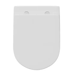 Lydia Rimless Wall Hung Toilet & Soft Close Seat