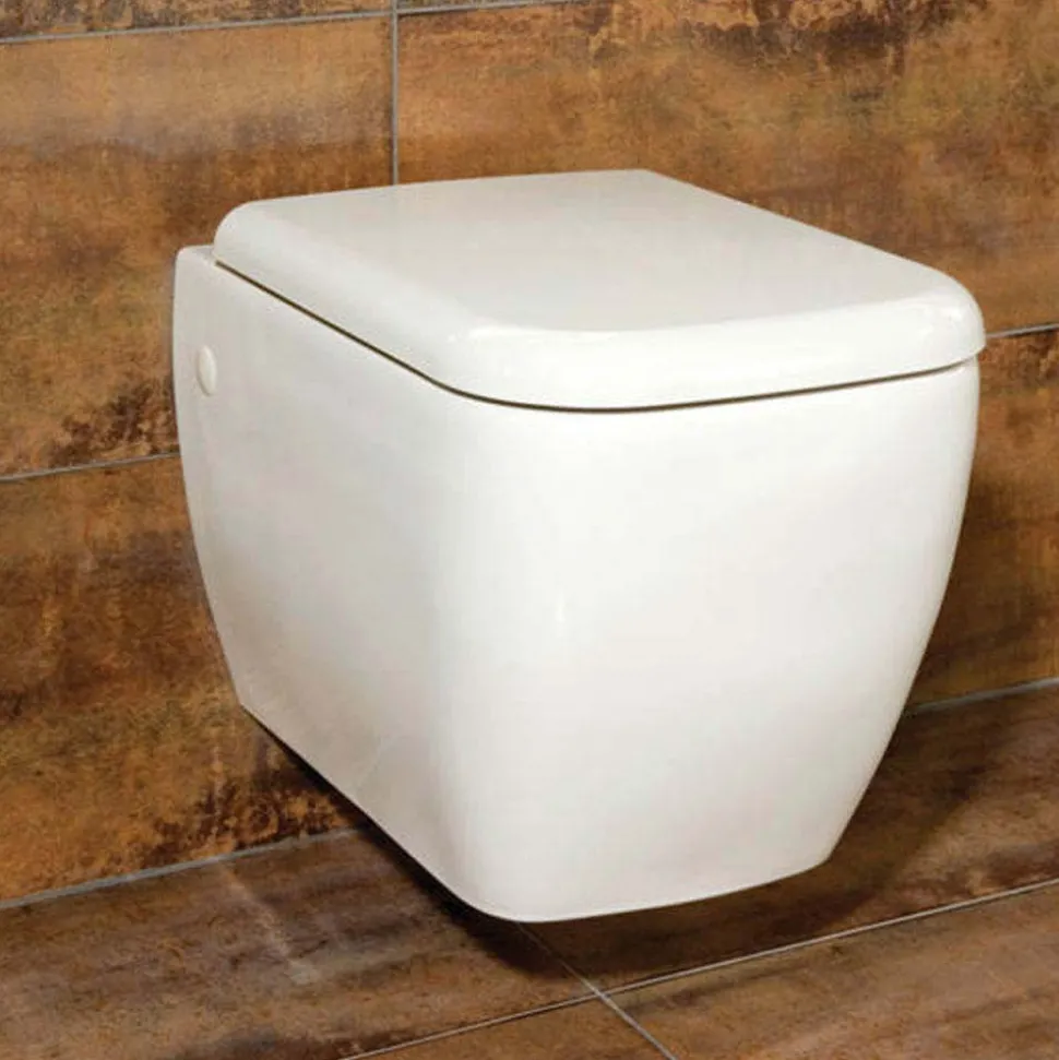 RAK Metropolitan Wall Hung Toilet & Soft Close Seat