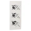 Sagittarius Avant 3 Outlet Concealed Thermostatic Shower Valve