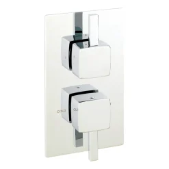 Sagittarius Axis 1 Outlet Concealed Thermostatic Shower Valve (ABS Plate)