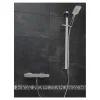 Sagittarius Capri Deluxe Shower Kit with Push Button Handset