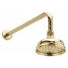 Sagittarius Chelsea 130mm Shower Head & Arm Gold