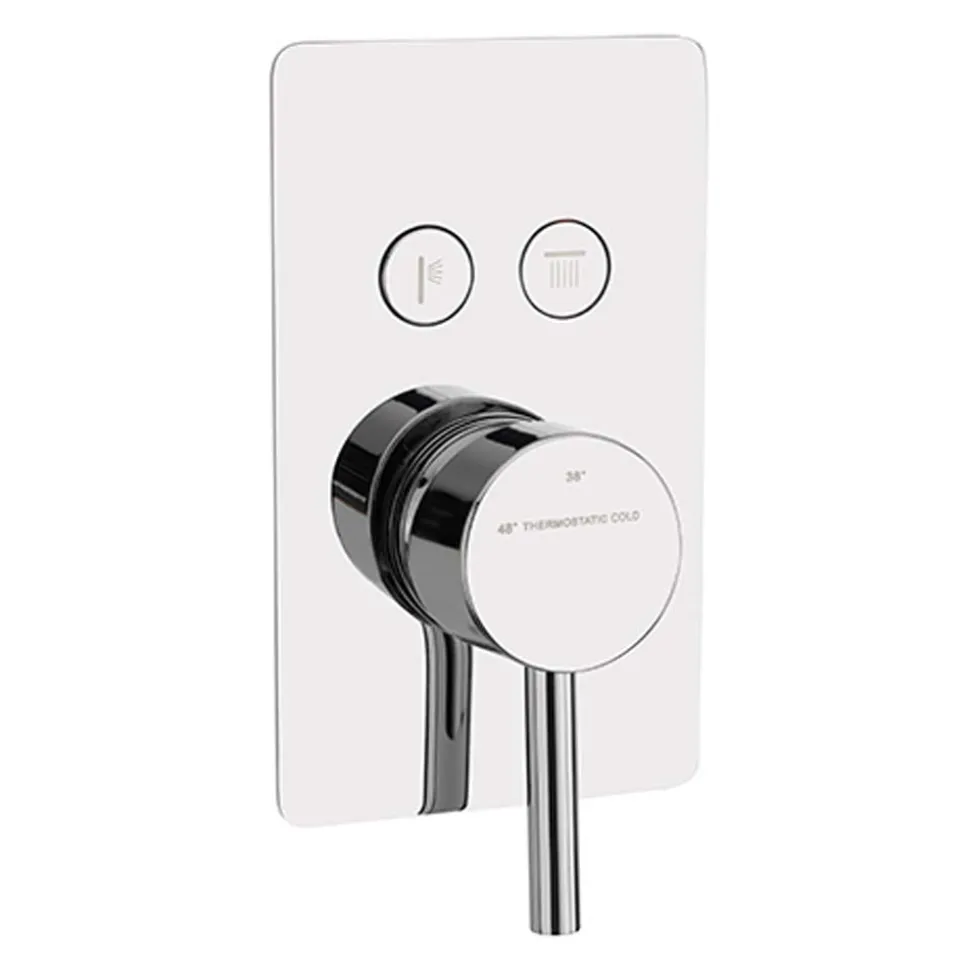 Sagittarius Ergo Lever 2 Outlet Concealed Thermostatic Push Button Shower Valve