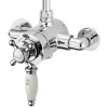 Sagittarius Fantasy Exposed Thermostatic Shower Valve